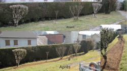 bechage-1